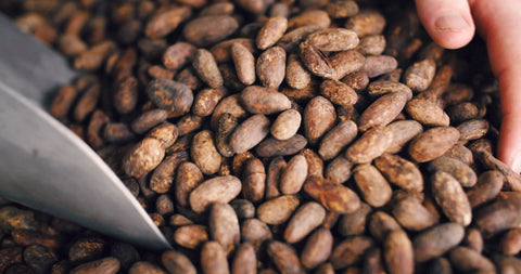 Pacific Cacao