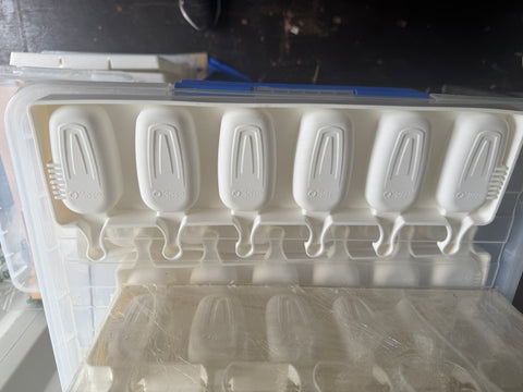 Silikomart gelato stick moulds x 6