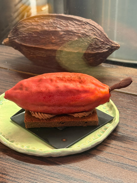 Cacao Pod