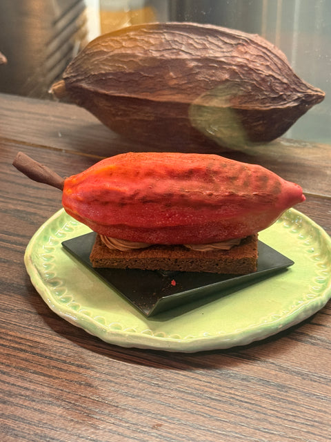 Cacao Pod